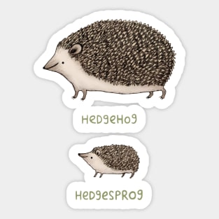 Hedgehog Hedgesprog Sticker